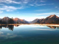 觅圈想转发前：先看单位有没有漏标，再把主语写清（读完更稳）