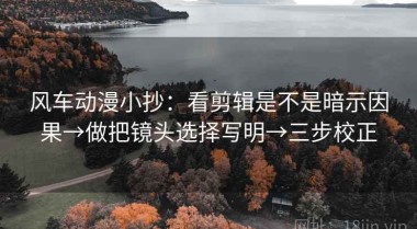 风车动漫小抄：看剪辑是不是暗示因果→做把镜头选择写明→三步校正