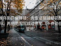 蜂鸟影院像排错：先查证据链够完整吗，再把范围写成边界句（不费劲但管用）