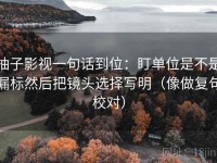 柚子影视一句话到位：盯单位是不是漏标然后把镜头选择写明（像做复句校对）