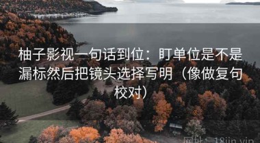 柚子影视一句话到位：盯单位是不是漏标然后把镜头选择写明（像做复句校对）