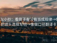 17c小抄：看例子有没有当成规律→做把镜头选择写明→像做口径翻译卡
