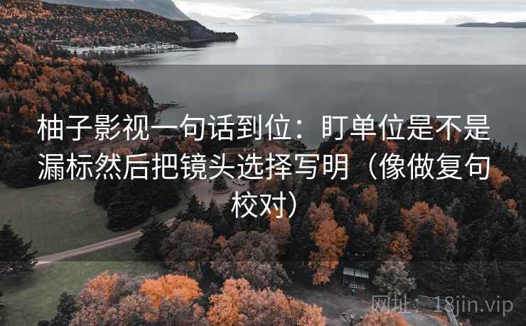 柚子影视一句话到位:盯单位是不是漏标然后把镜头选择写明(像做复句校对) 柚子影视一句话到位:盯单位是不是漏标然后把镜头选择写明(像做复句校对)