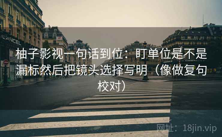 柚子影视一句话到位:盯单位是不是漏标然后把镜头选择写明(像做复句校对) 柚子影视一句话到位:盯单位是不是漏标然后把镜头选择写明(像做复句校对)